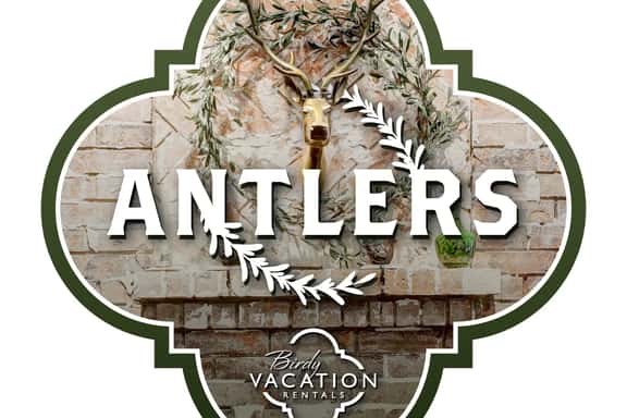 Antlers - Image 1