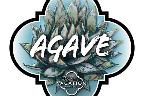 Agave - Image 1