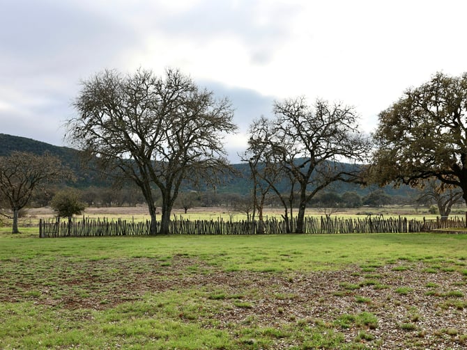 Hill Country landscape with oak trees and rolling fields